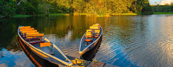 thn-website-Amazon-River-Basin-Project
