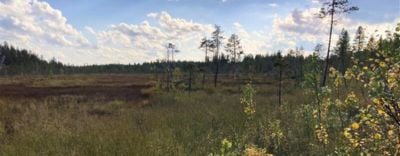 Mine environmental, Natura assessment, sustainable mining, multidisciplinary
