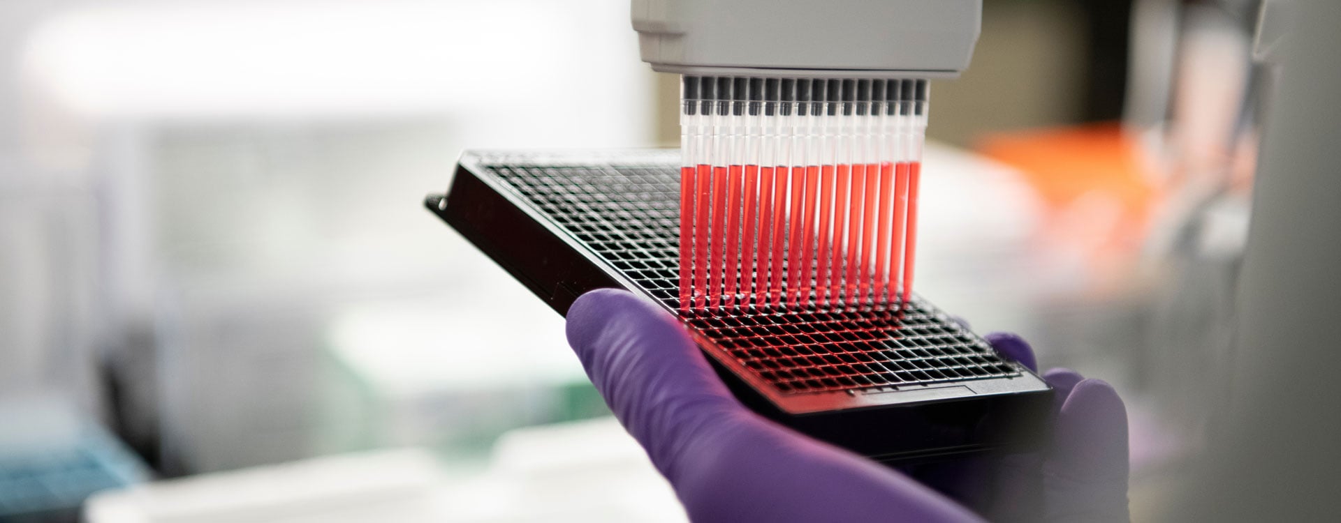 bnr-laboratory-services_2025