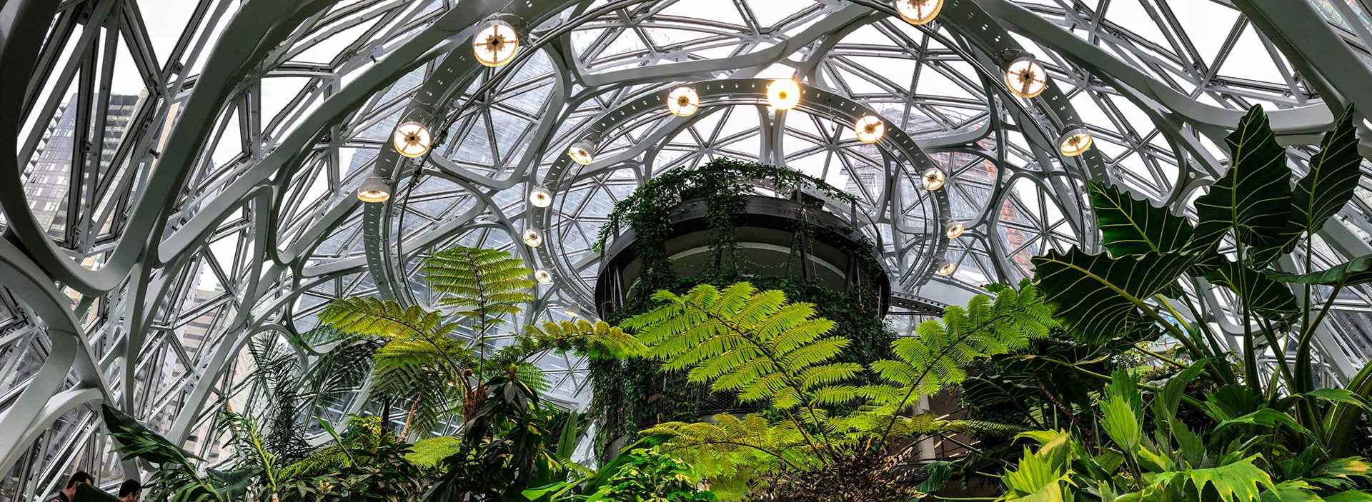 bnr-built-ecology-rebrand-2