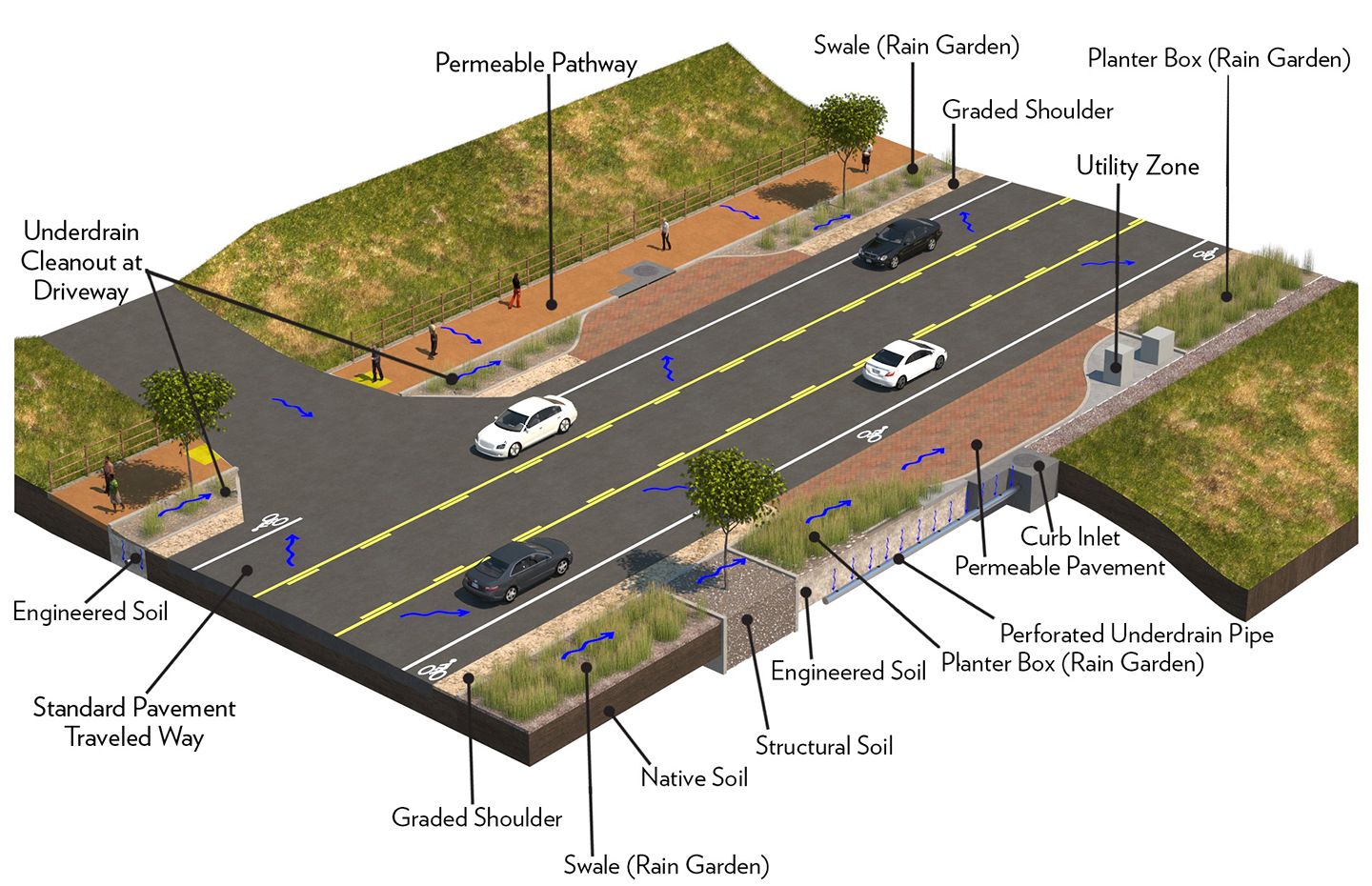 Green Streets Guidelines Improve Stormwater Management | WSP