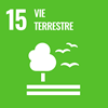 Objective de développement durable 15 - Vie terrestre