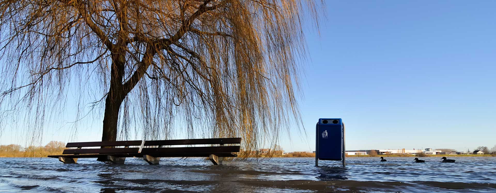 Träd, sopkorg och parkbänk ser ut att stick upp ur en sjö på grund av översvämning.