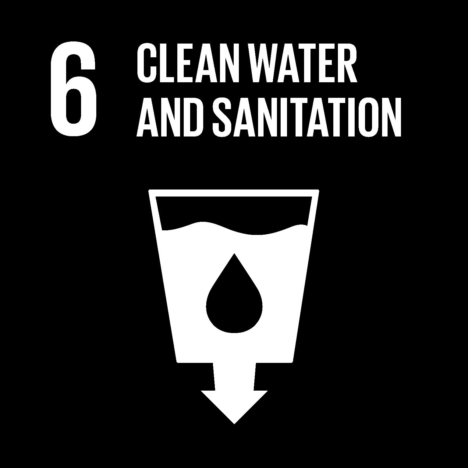 SDG goals_icons-individual-RGB-06-bw