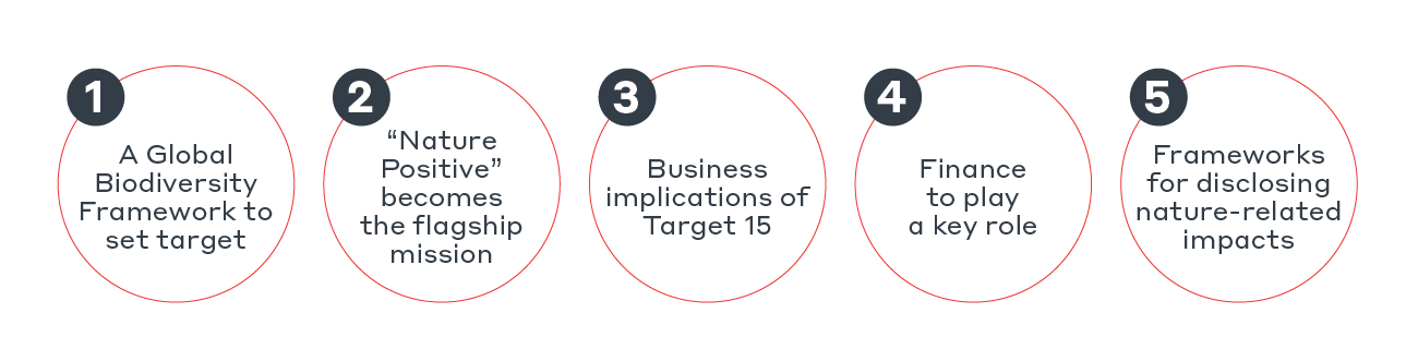5-things-to-expect-Graphic-EN