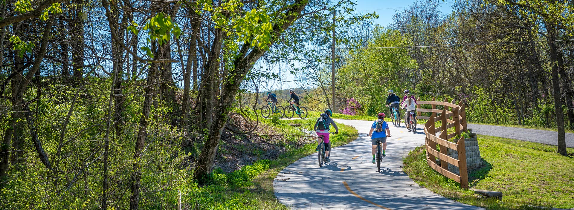 En grupp människor cyklar genom ett grönområde i solsken.