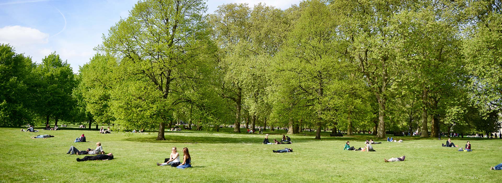 Människor tar paus i en grön park.