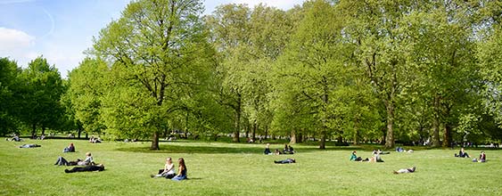 Människor tar paus i en grön park.