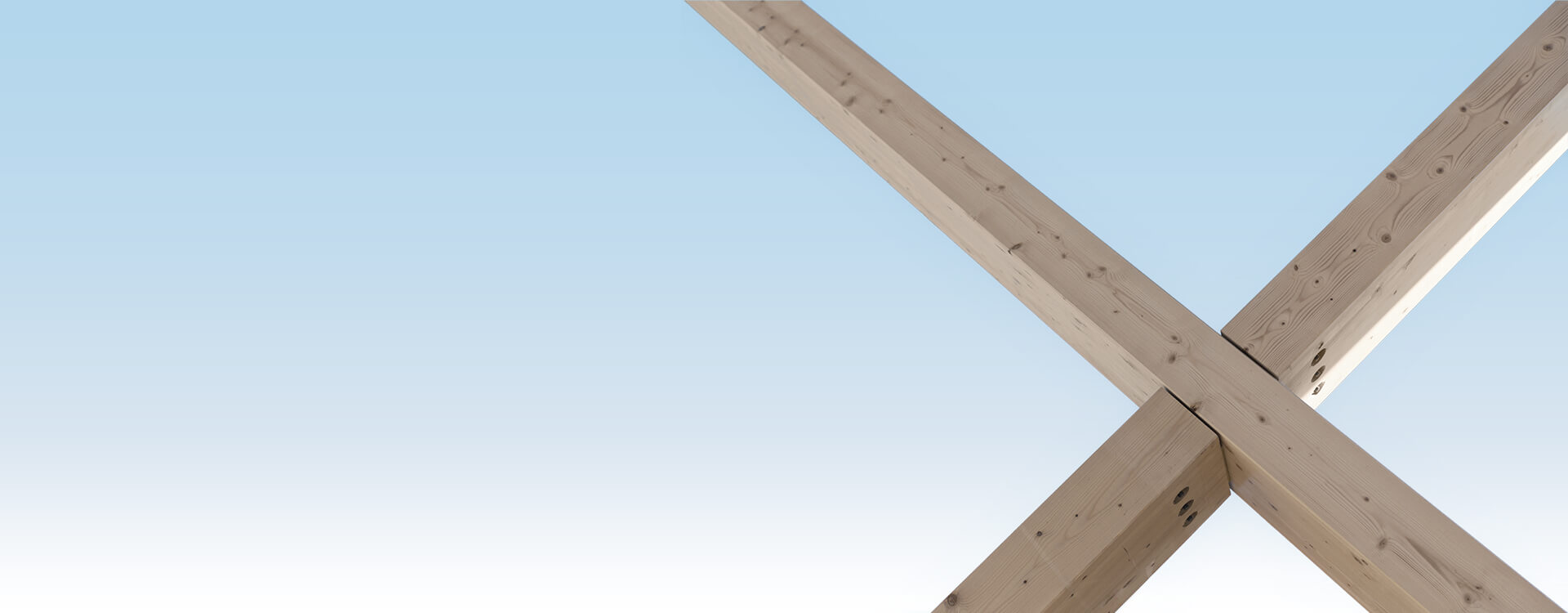 bnr-timberX-Concept Structural Design Tool
