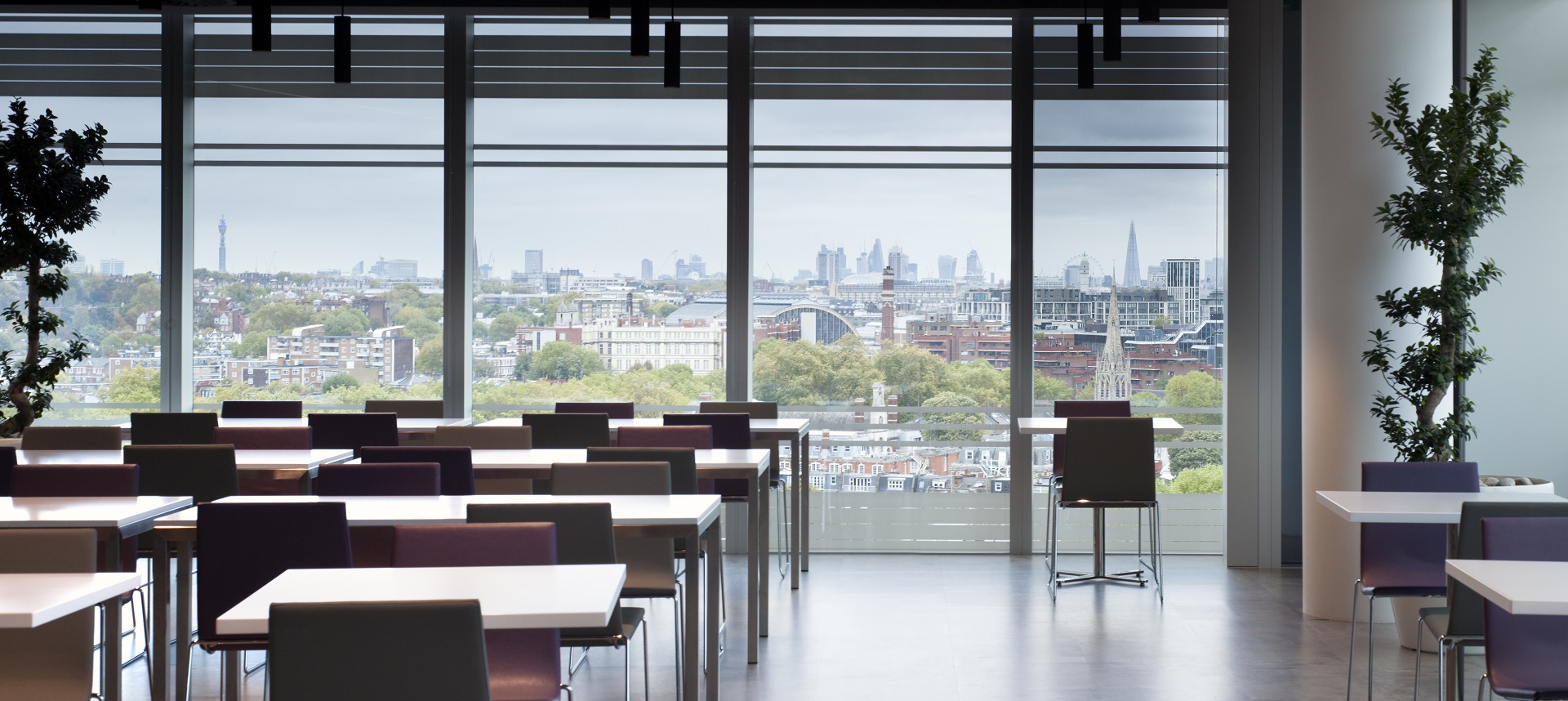 img-medidate-view