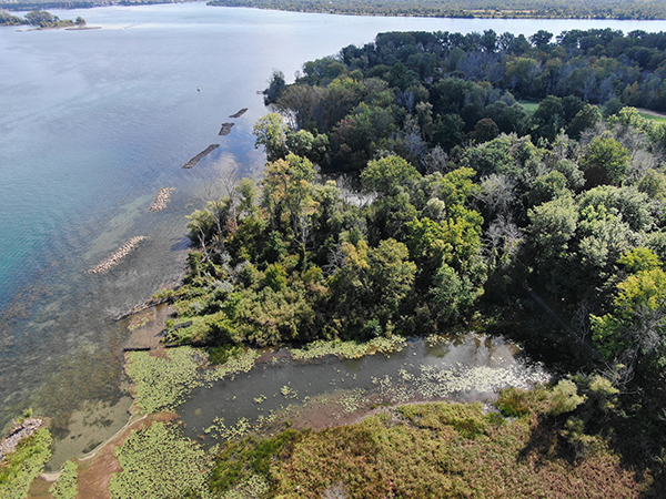 East River Marsh_Aerial View_photo 1