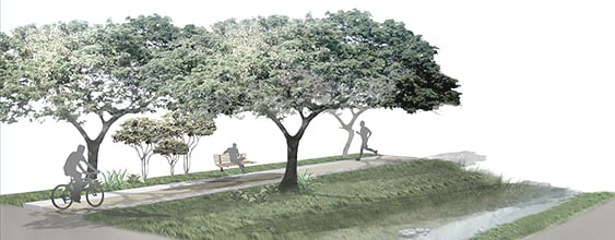 Park rendering for Soto Cano airbase, where WSP was selected to prepare a master property plan
