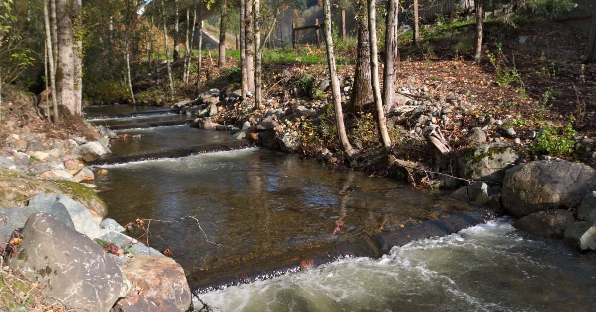 Green Infrastructure and Low-Impact Development-img