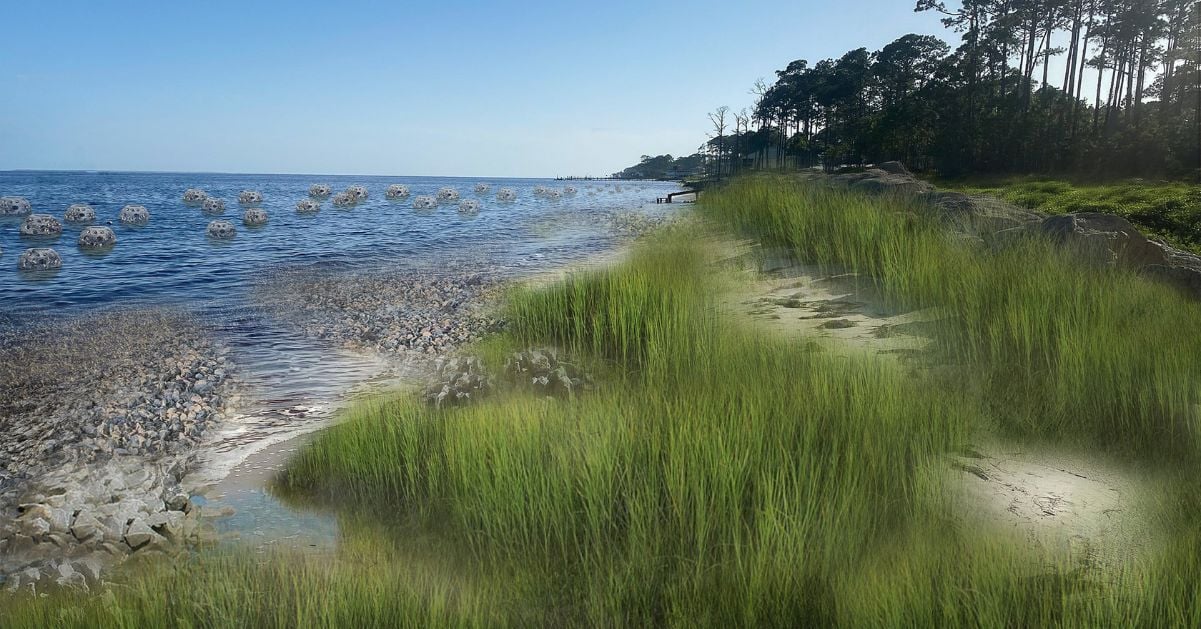 Nature-Based Solutions-img