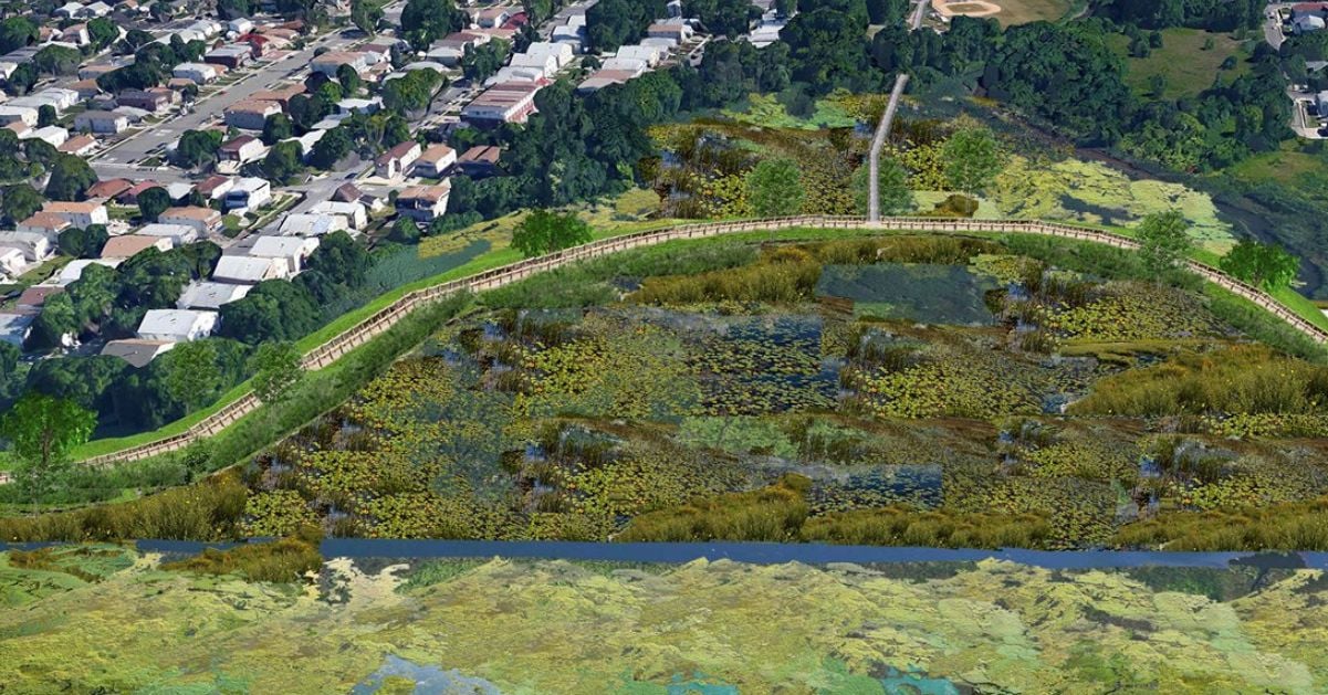 Stream and Wetland Ecosystem Restoration-img